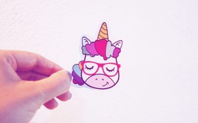 Organização do feed e paleta de cores REAL