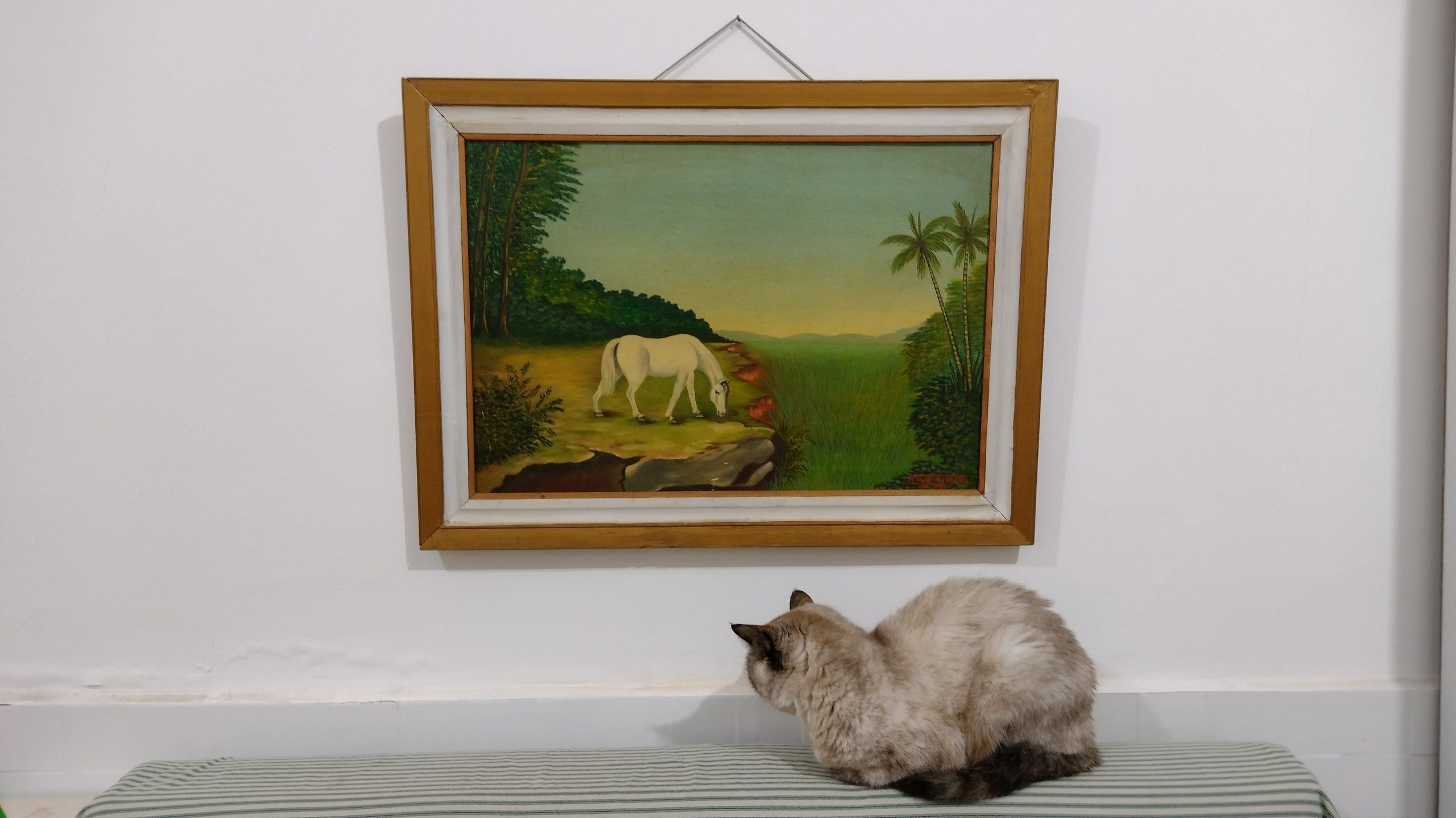 Nelson de Araújo Lima. Nova Iguaçu, 1971. 