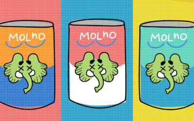 Tempo, conhecimento e elefantes