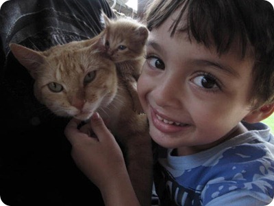 OgAAAIEdWnh-Hjbd4pfJnKb_RaObye9ElfPJbY59y4hoCj0-4c17QSgy7J9tQs6l26Y67P7HUcCnEsxqMs2S4O1MEKgAm1T1ULQIFbu8O909ICrEk0AYdgJDtiL3